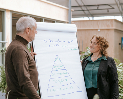 Bouwen een sterk MT met een systemische aanpak